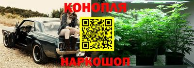 амф Мариинск