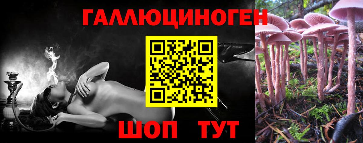 магазин  наркотиков  Вход с VPN  Псилоцибиновые грибы Psilocybine cubensis  Бугуруслан  Псилоцибиновые грибы прущие грибы 